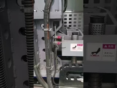 خط انتاج التورتيلا